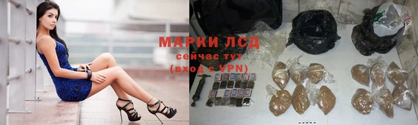 прущие грибы Лихославль