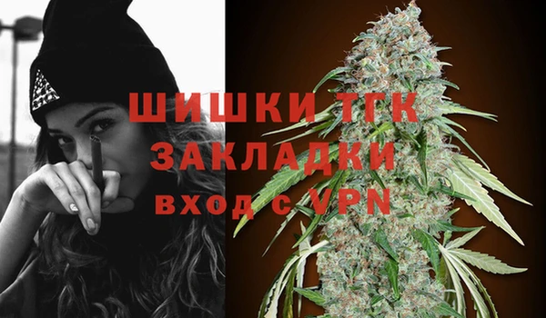 прущие грибы Лихославль