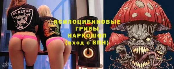 прущие грибы Лихославль